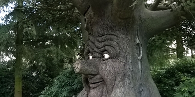 Efteling Sprookjesboom Efteling Sprookjesboom